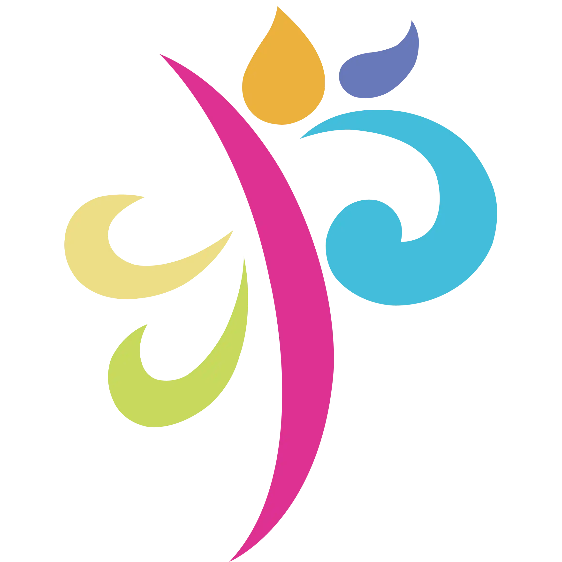 PIONIR Logo